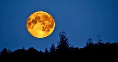 monnradiation1 (1).webp