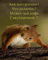 0_406.webp