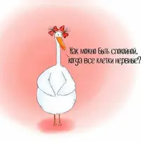 4_448.webp