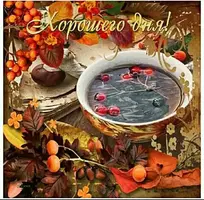 1726721646471.webp