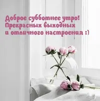 1726908369559.webp