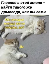 IMG-20240918-WA0001.webp