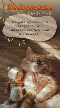 IMG_20240922_070414_904.webp