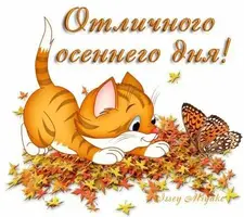 1726996618766.webp