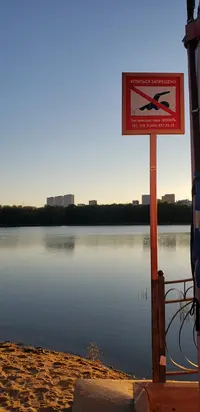 20240922_175419.webp