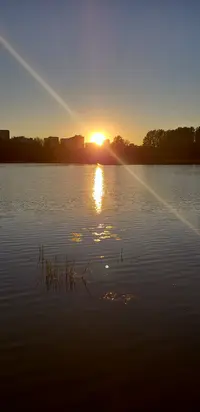 20240922_175932.webp