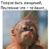e24cb7bc4b69aa9275f61a89d1e7ae5a.webp