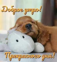 IMG_4480.webp