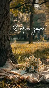 19_765.webp