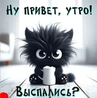 IMG_4486.webp