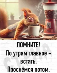 InShot_20240925_012819060.webp