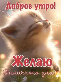 22_320.webp