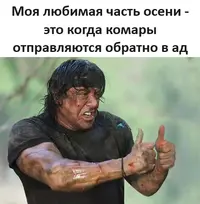 1200-0793783.webp