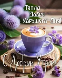 114_893.webp