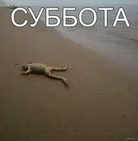 1727521122375.webp