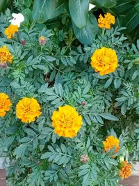 imgonline-com-ua-Resize-IspSwOU5bkgRV0n.webp