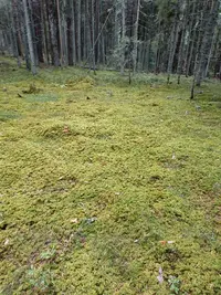 IMG_20240928_172419_489.webp
