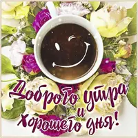 1727600411386.webp