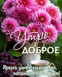 imgonline-com-ua-Resize-i4Tz2Xcr3l8.webp