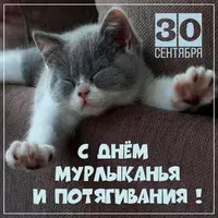 6_582.webp