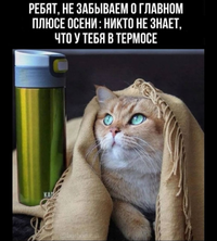 Screenshot_20241001-140640.webp