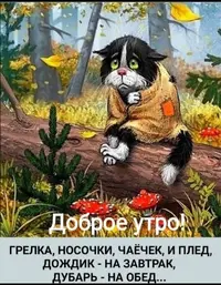 IMG_4562.webp