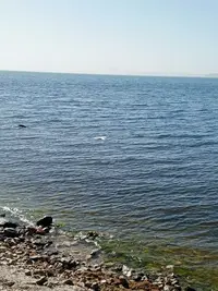 imgonline-com-ua-Resize-Ym7DcjojUs.webp