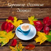 1728117506887.webp