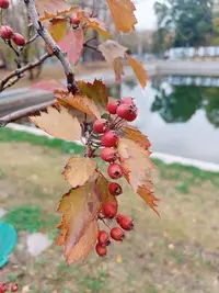 20241005122008.webp