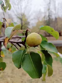 20241005122044.webp