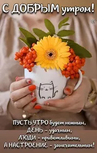 49_646.webp