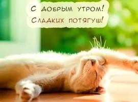 1728199606273.webp