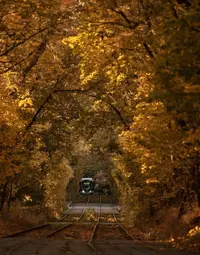 IMG_20241006_215446.webp