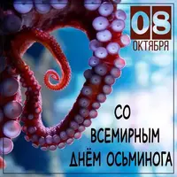 37_048.webp