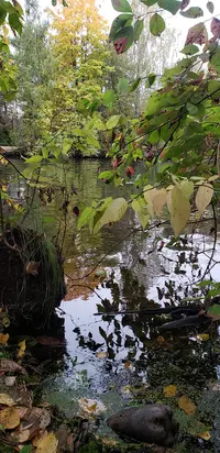 20241009_133743.webp