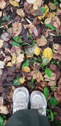 20241009_133755.webp