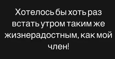 43_648.webp