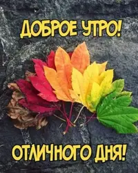 imgonline-com-ua-Resize-EU7VnIad20v.webp