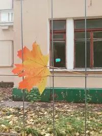 20241011124200.webp
