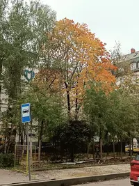 20241011122838.webp