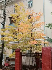 20241011123332.webp