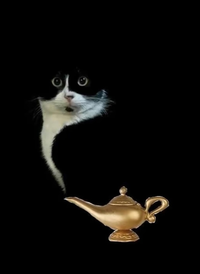 Screenshot_20241011-202024.webp