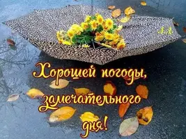 1728720115306.webp