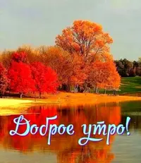 6ecc2007-77ca-45a9-ad65-21305497b2cf.webp