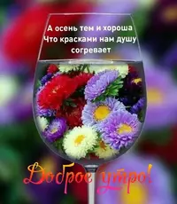 1728807046852.webp