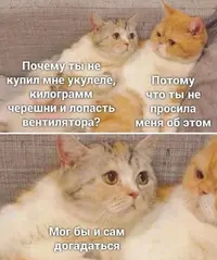 1728774861152480033.webp