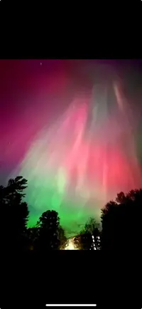 IMG-20241011-WA0003.webp