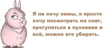 1200-469605.webp