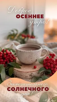 0329_134.webp