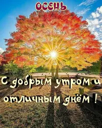 1729149603092.webp